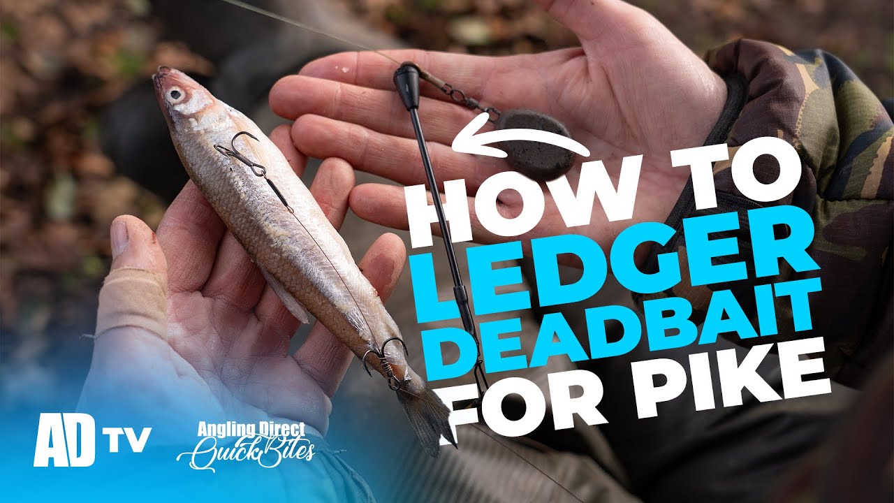 How To Ledger Deadbait For Pike - Set Up Explained - Predator Qickbite