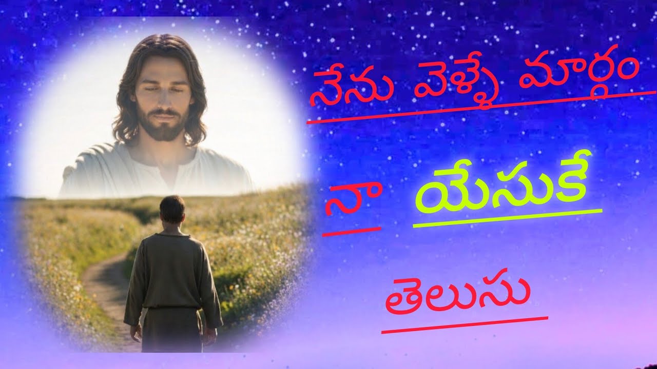 నేను వెళ్లే మార్గము నా యేసుకే  nenu velle maargamu ||#Nayomi pooladaas 