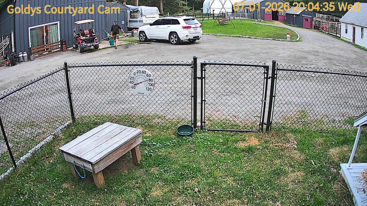 Goldy's Farm Courtyard Cam