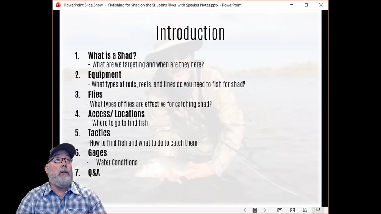 Shad on the Fly Presentation | Fly Fishing for Shad on the St. Johns River