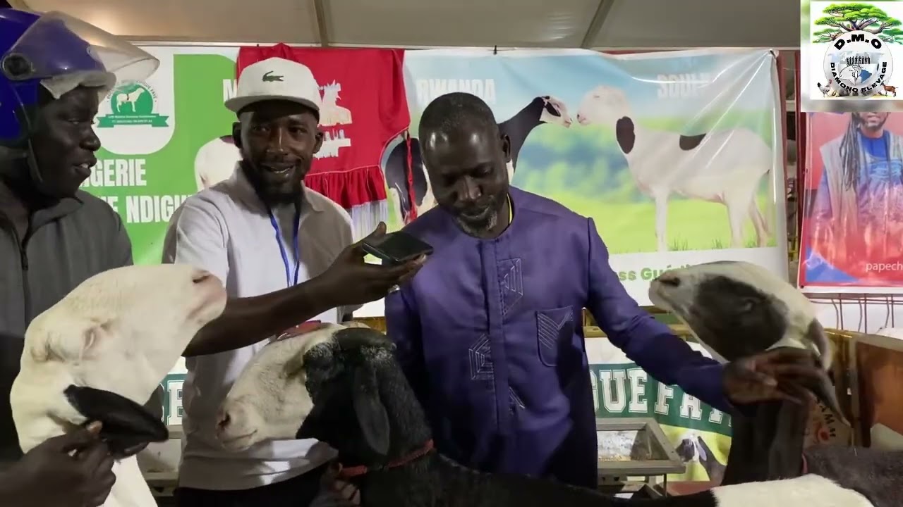 Bergerie keur Ndigue Faye: festival du ladoum Union des pro