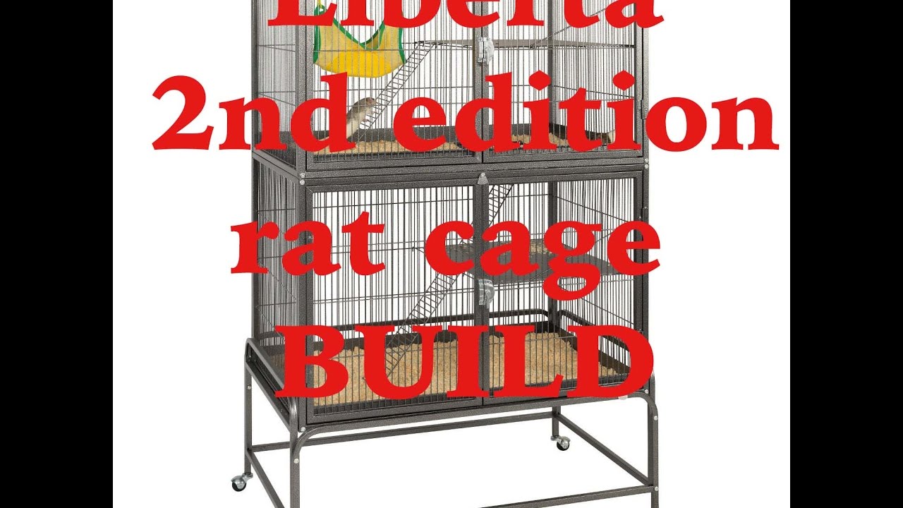 Liberta rat cage build