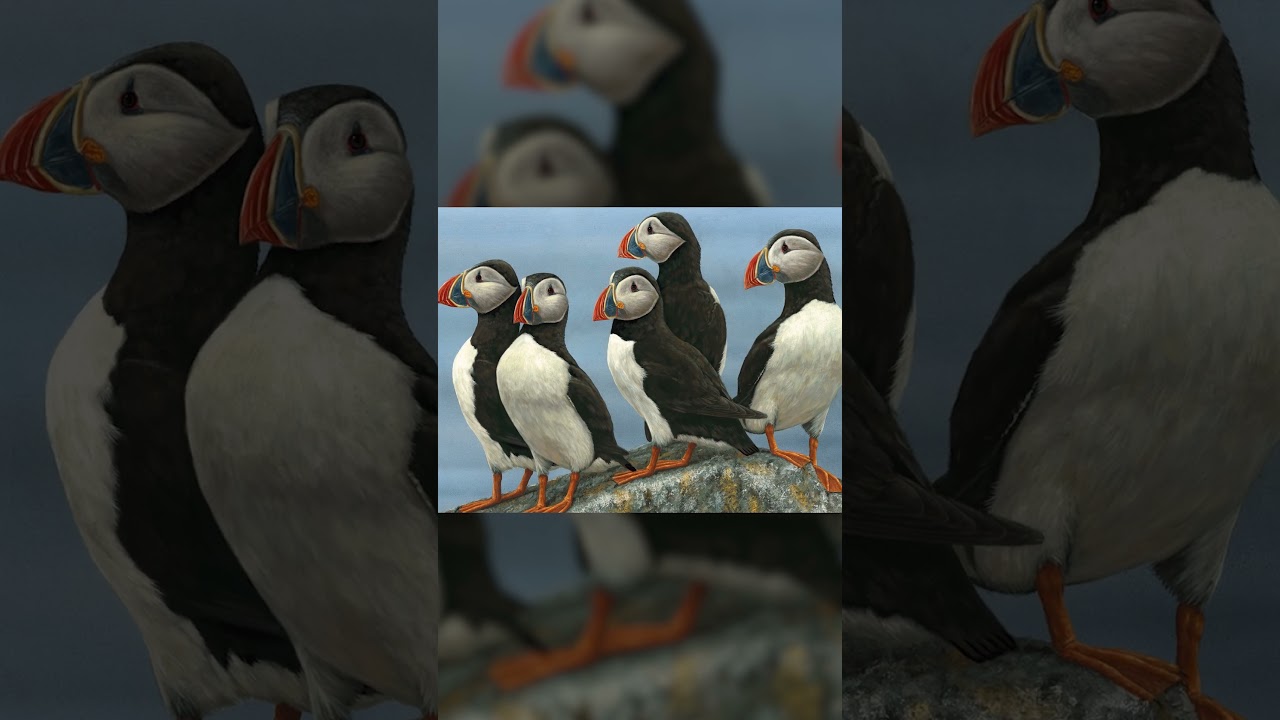 This puffin painting was inspired by the Yorkshire coast