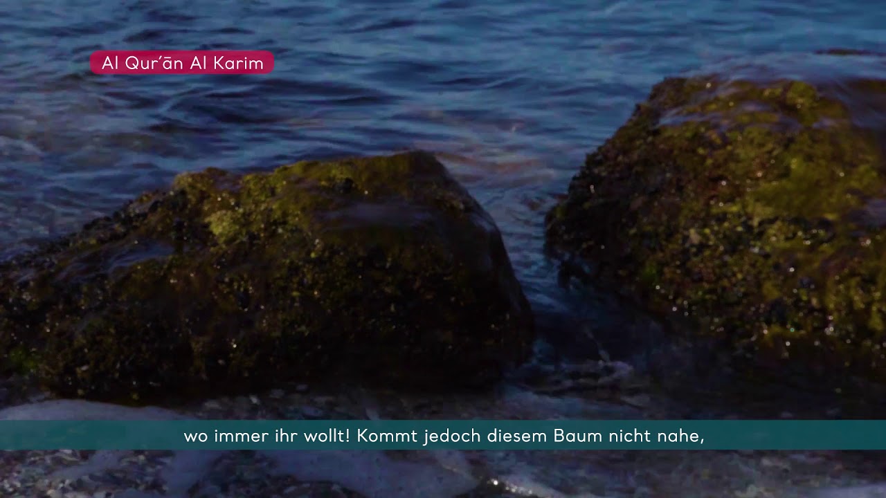 Koran Hörbuch deutsch Sure 2 Al-Baqara (Die Kuh)