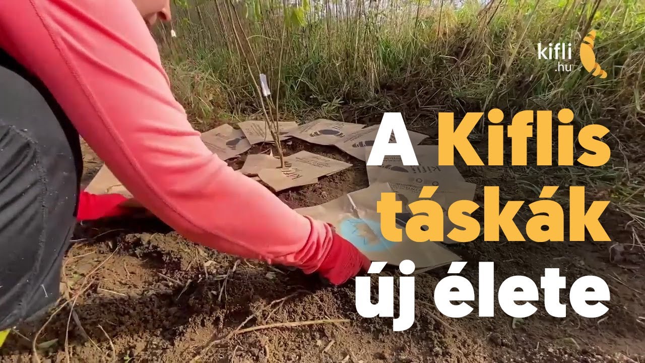 A Kiflis táskák új élete
