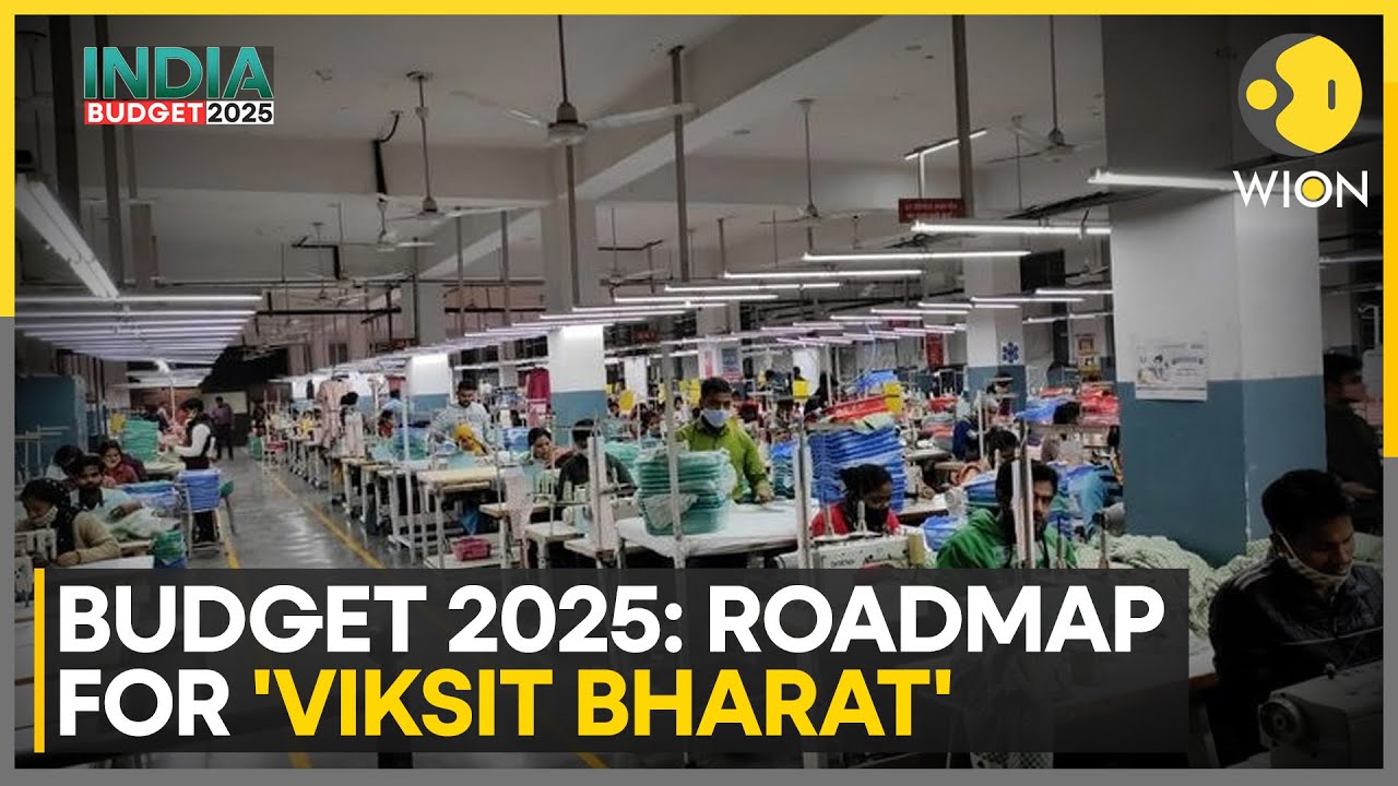 India Budget 2025: Earnings Season Signals Profit Downgrades | World News | WION