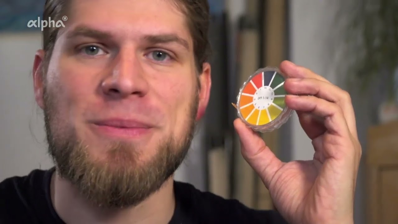 alpha Lernen | Chemie: Zitronens&auml;ure - spendet Energie und Glanz (2024)