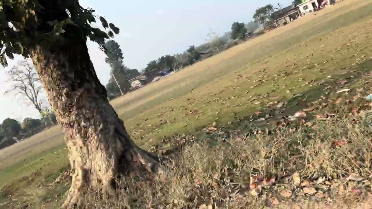 Jangal of pouraie Rautahat 