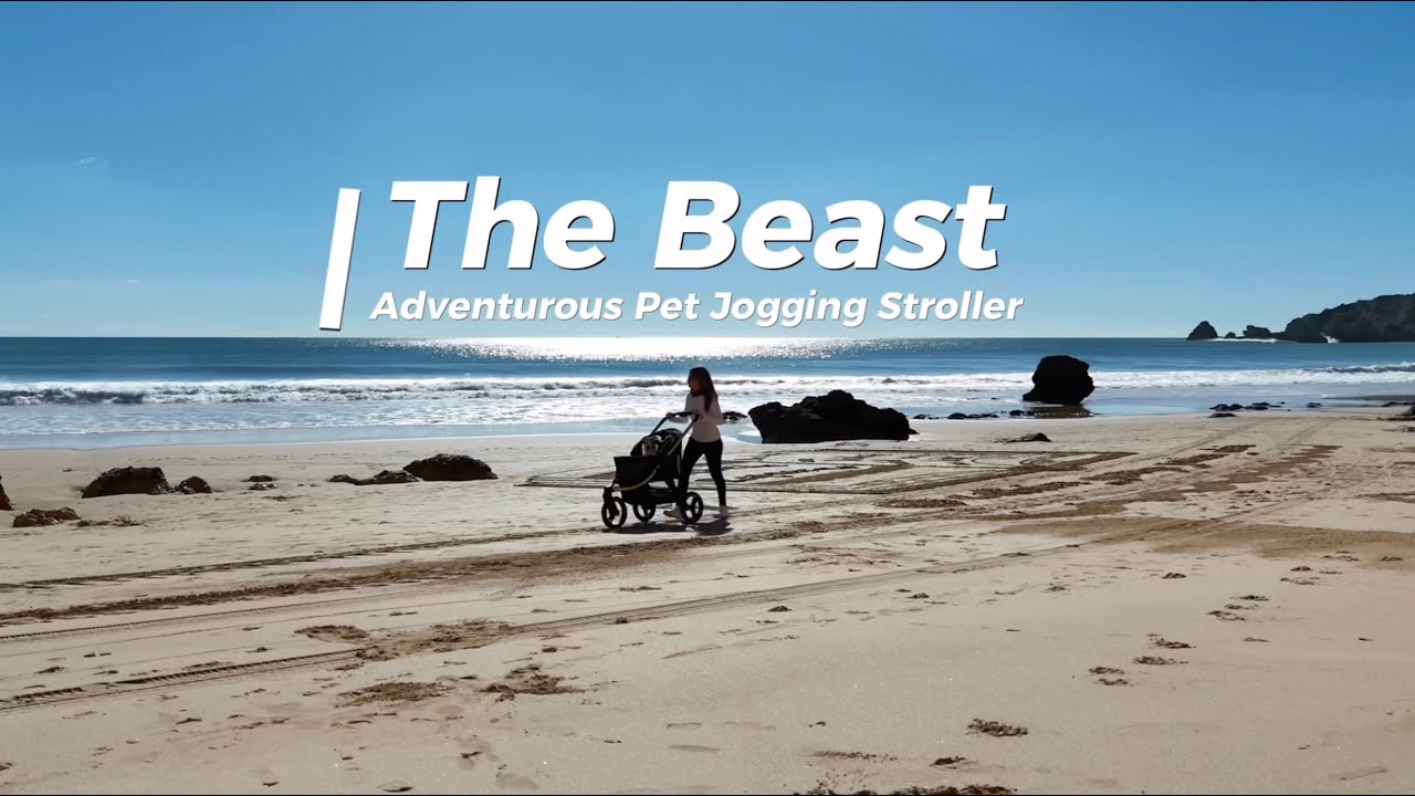 Детская прогулочная коляска The Beast Pet.