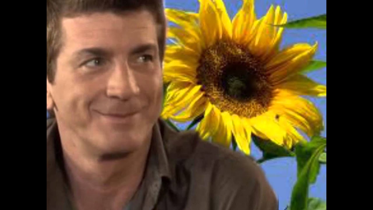 Joyeux Anniversaire Girasol