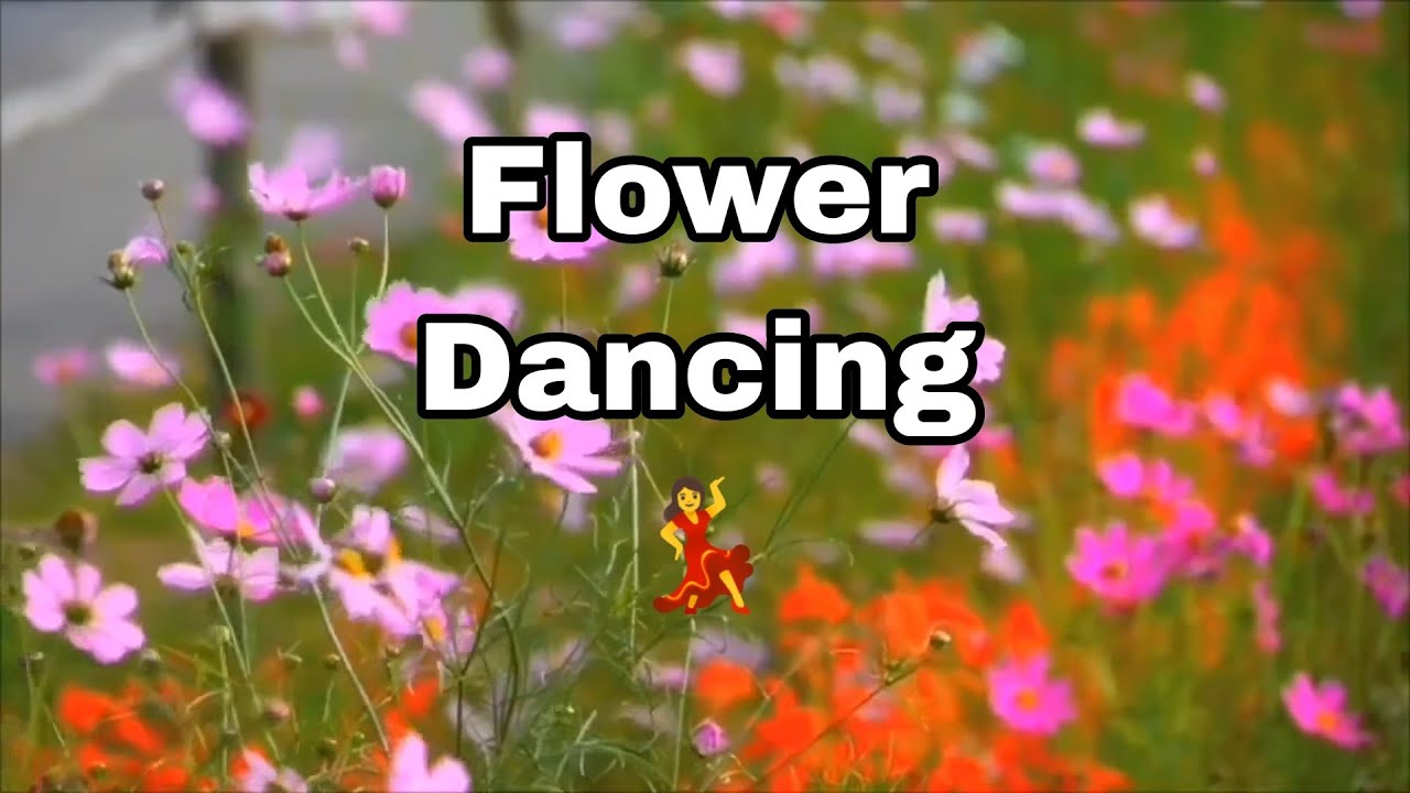 Flowers Dancing in the Wind 🌬️🌸