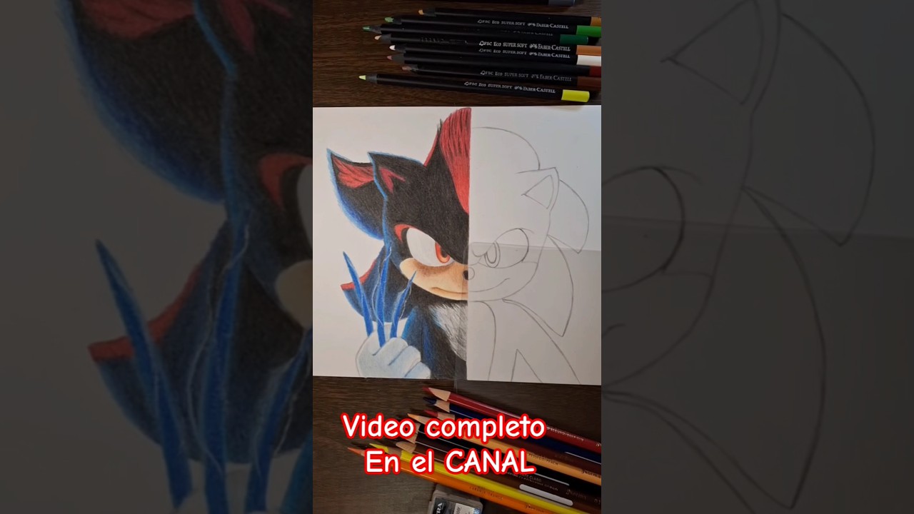 Sonic & Shadow #dibujo #lapicesdecolores #sonic #shadow #art #sonic3