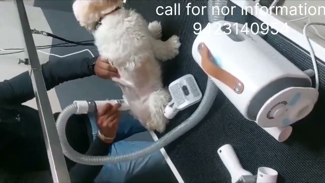 Eureka Forbes pet buddy