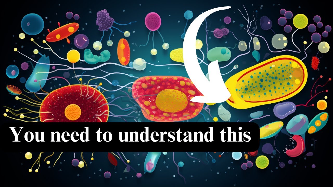The Metabolic Foundation of Longevity: mTOR and AMPK