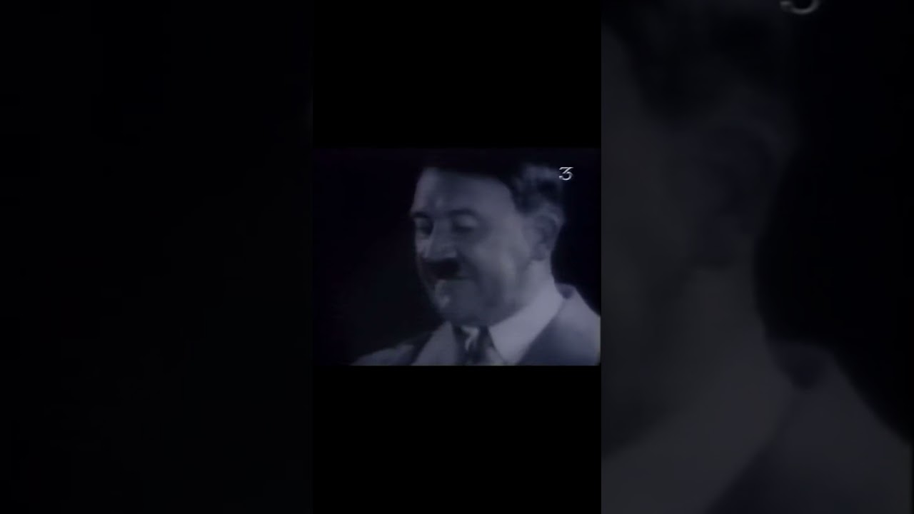 Free Palestine movement is - the wave