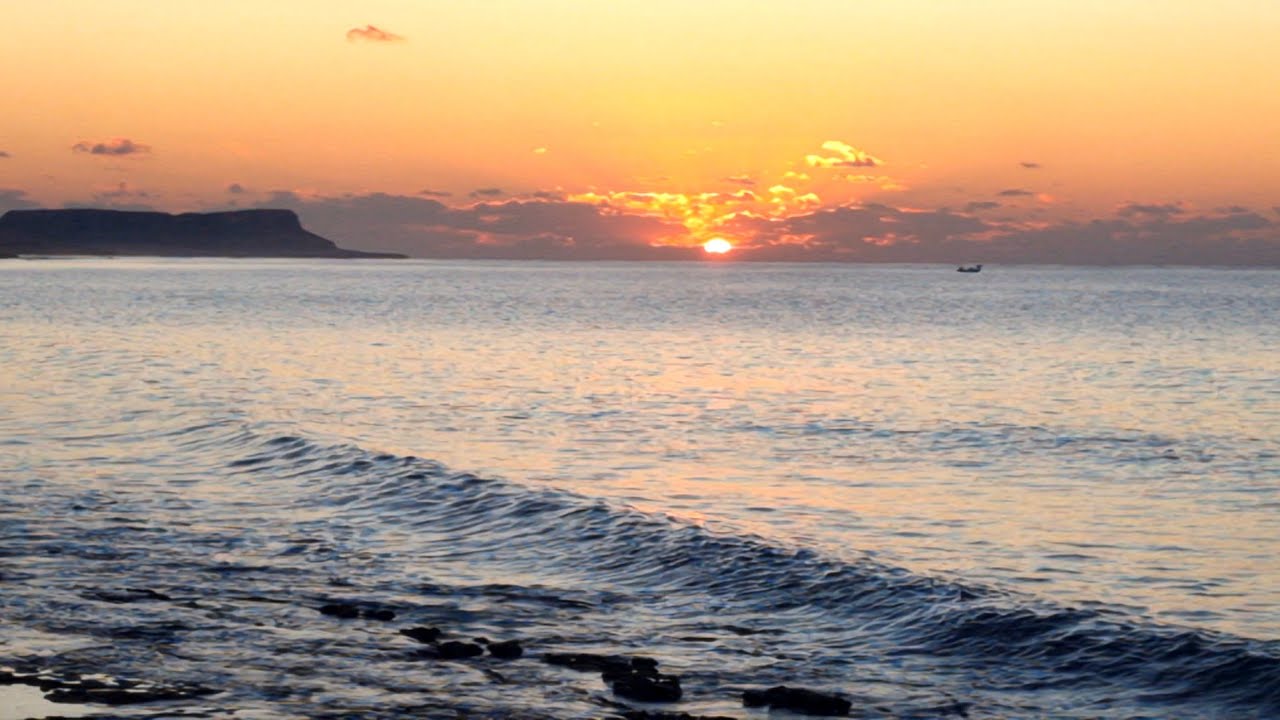 Sunrise Ayia Napa 15.1.2026