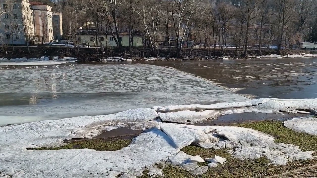 Proceso grožis