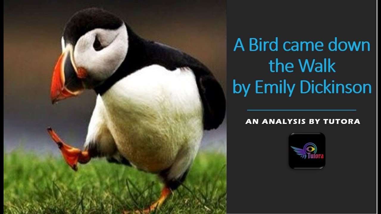 A Bird came down the Walk  by Emily Dickinson