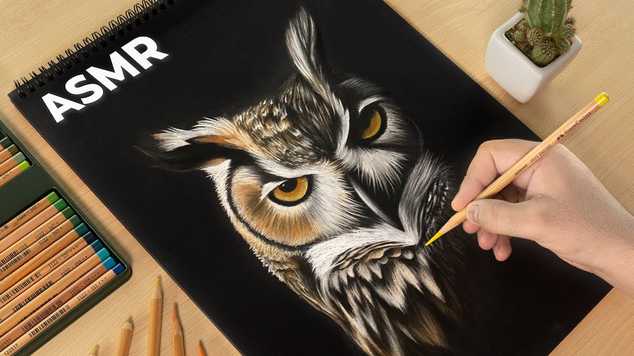 Realistic OWL Drawing | Satisfying Time-lapse