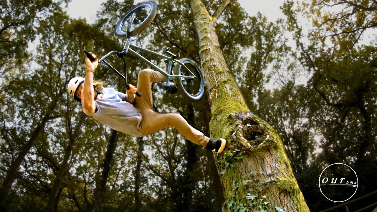 GREG ILLINGWORTH - THE WOODS