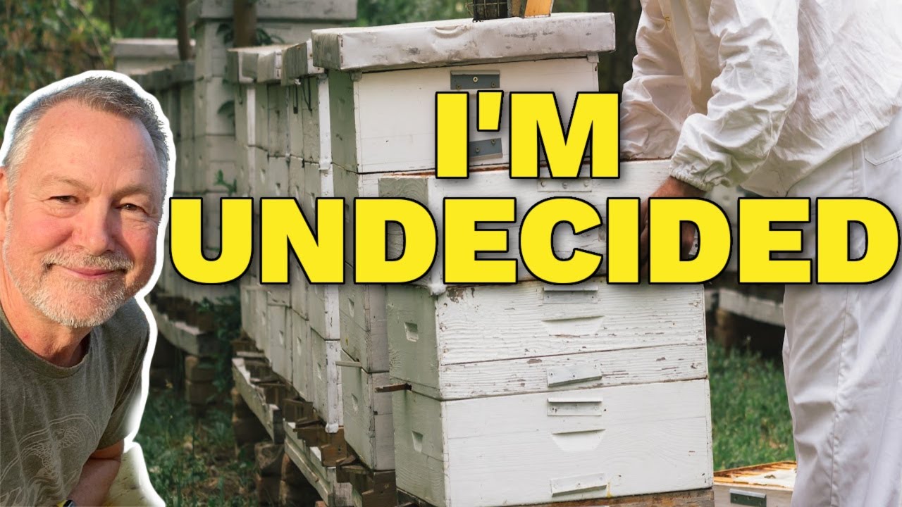 Beekeeping | Beekeepers Are Divided On This One!
