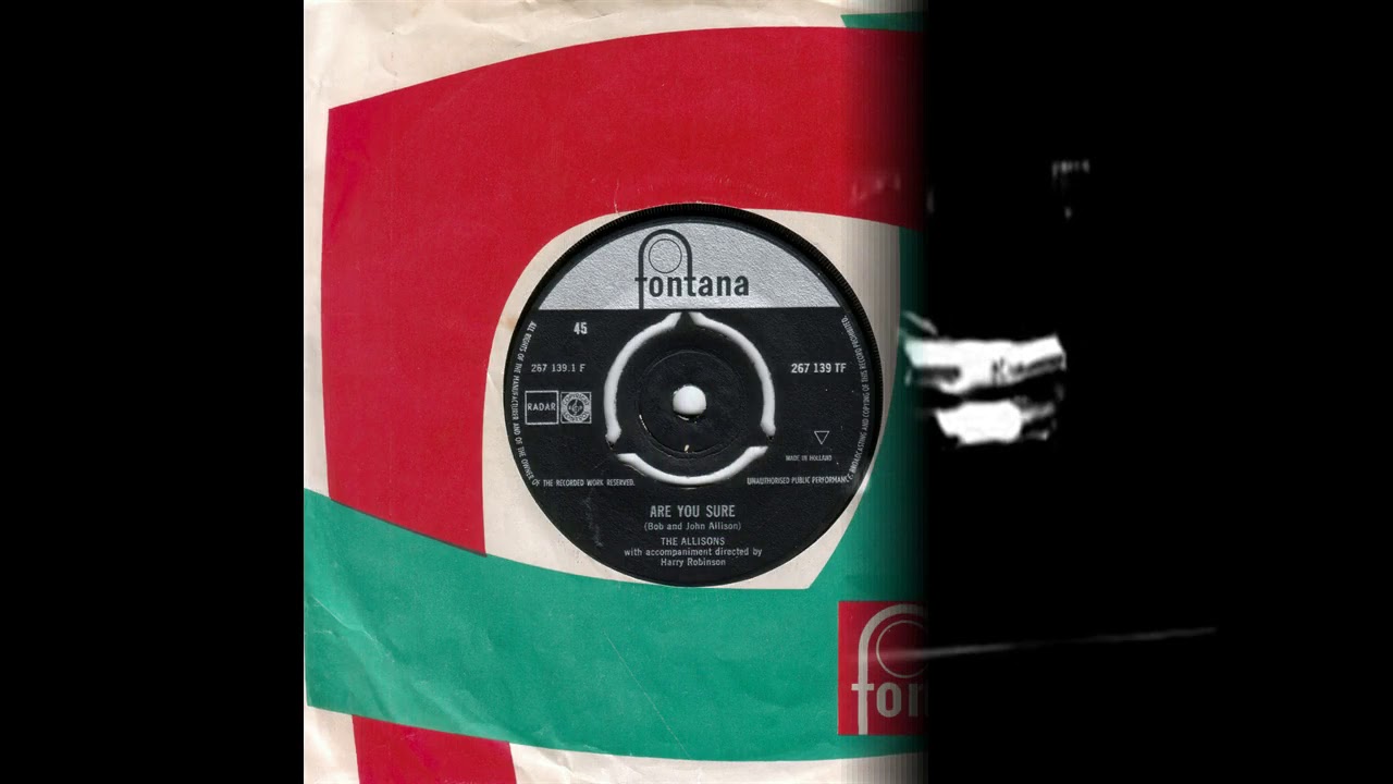 Allisons, The - Are You Sure(1961)
