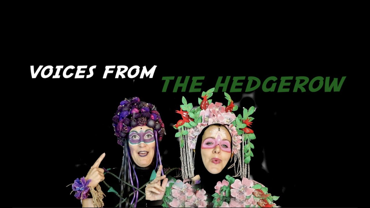 Bramble and Rose - The Hedgerow - Voices from the Hedgerow