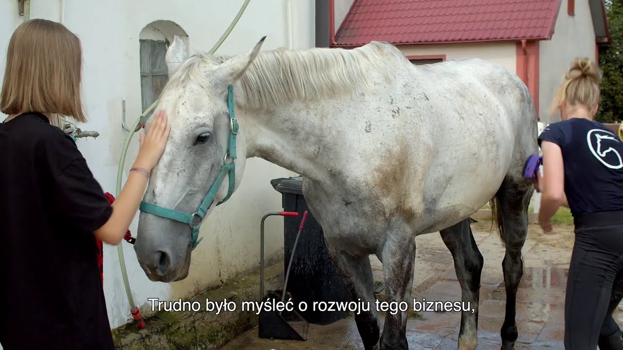 Konie na Kaszubach. Zwiedzaj Polskę. Szlakiem Europejskiego Funduszu Morskiego i Rybackiego.
