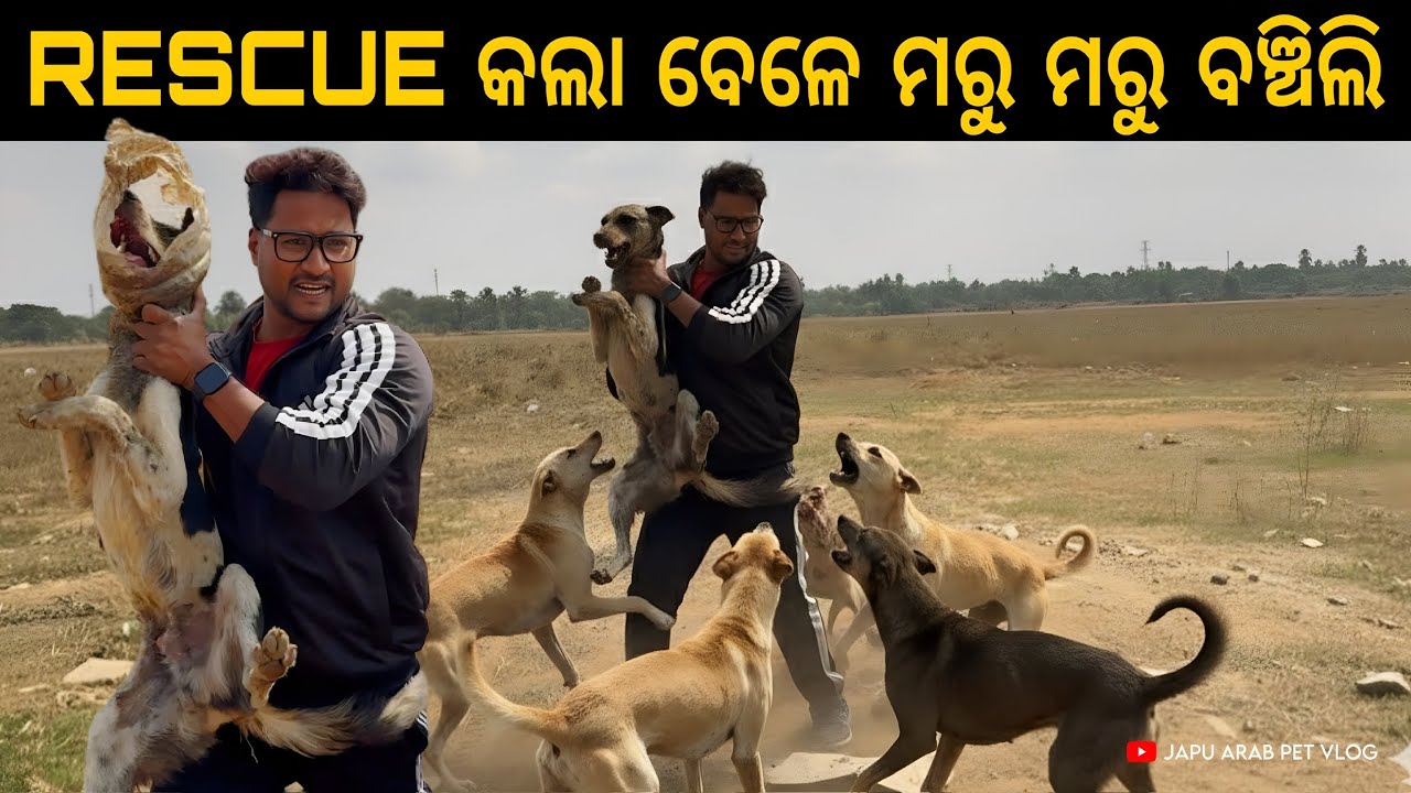 RESCUE କଲା ବେଳେ ମରୁ ମରୁ ବଞ୍ଚିଲି 😭😭😭