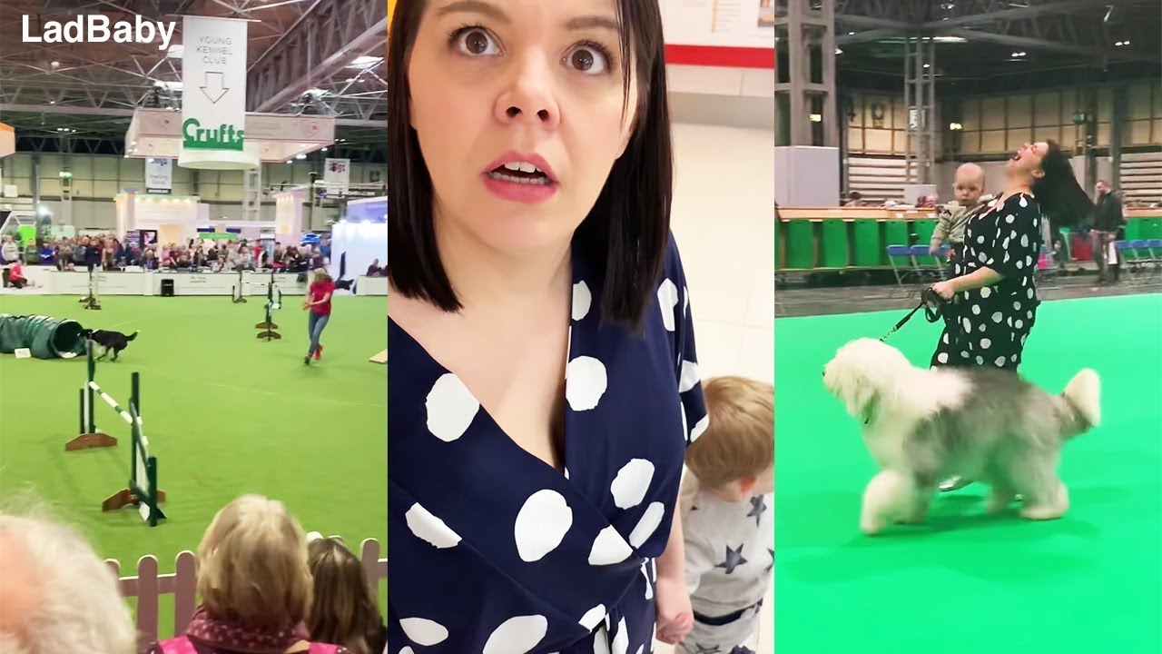 When Mum & Dad go to Crufts dog show 🐕🐩