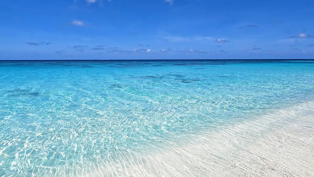 Soothing Sea and Relaxing Wave Sounds