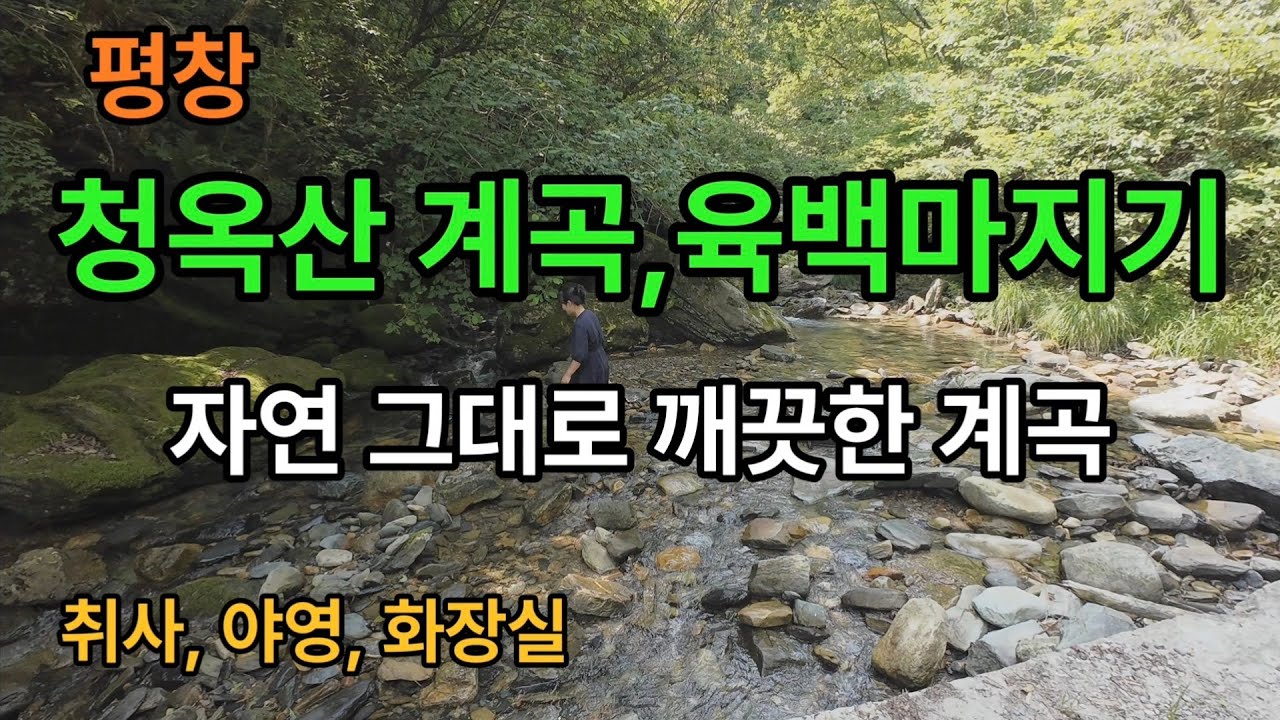 [평창]숨겨진계곡, 육백마지기 시원한차박 //더울땐 이곳이 정답입니다