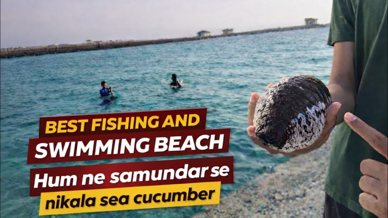 Jaddah Fishing and Swimming Beach | Samundar Se Nikala Sea Cucumber | Amazing Beach Vlog