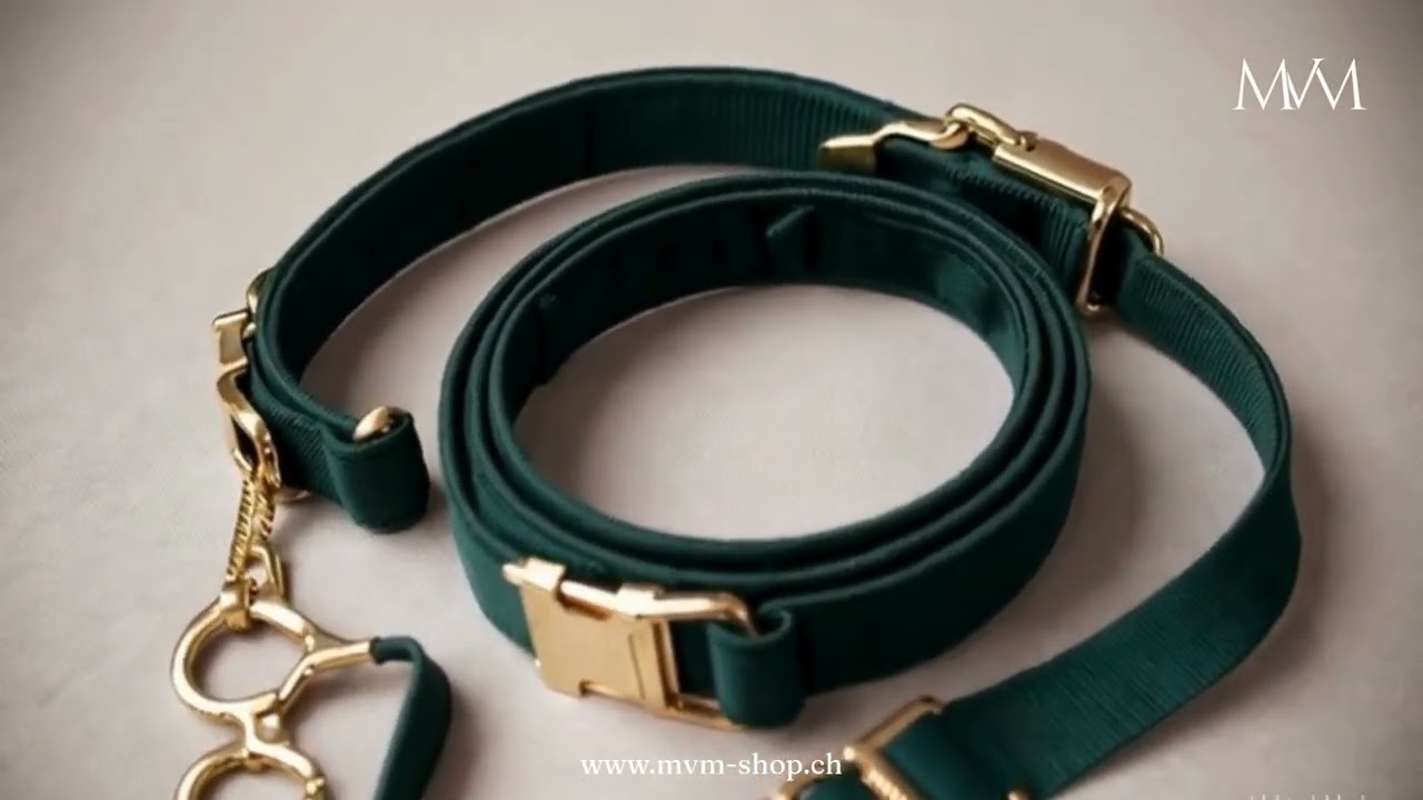 Hundeleine & Halsband Set in Tannengr&uuml;n &ndash; Luxus, Stil & Komfort | MVM Schweiz