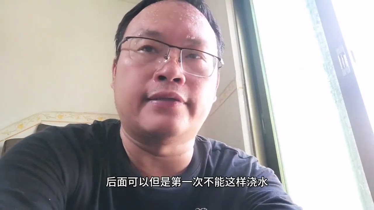 刚买的草莓苗，你会“浇水”吗？方法要对，小心枯萎说拜拜