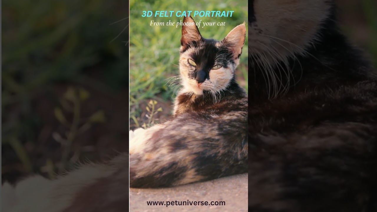 Custom Felt Calico Cat Portrait from Pictures #cats #catlover #pets #catportrait #shorts #calico