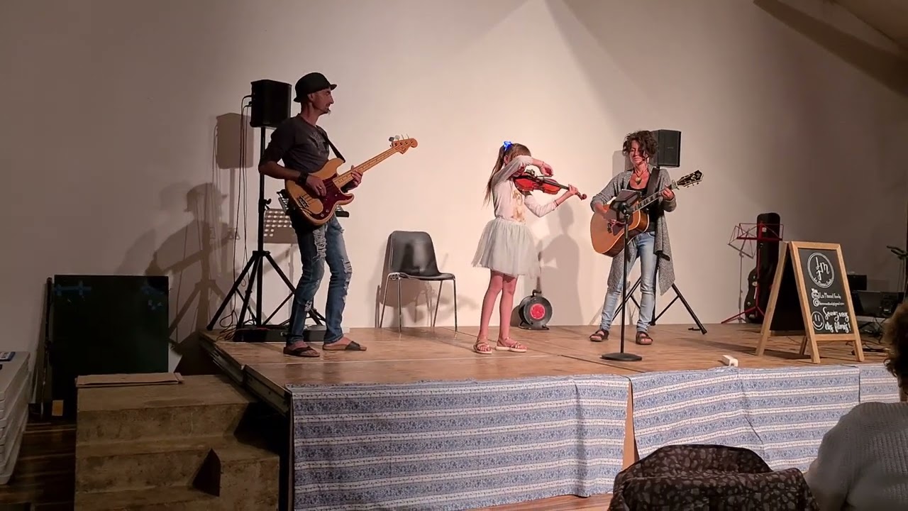 Je Vole  - Trio Violon, Guitare  Basse ( Michel Sardou) #cover #musicfamily #louane