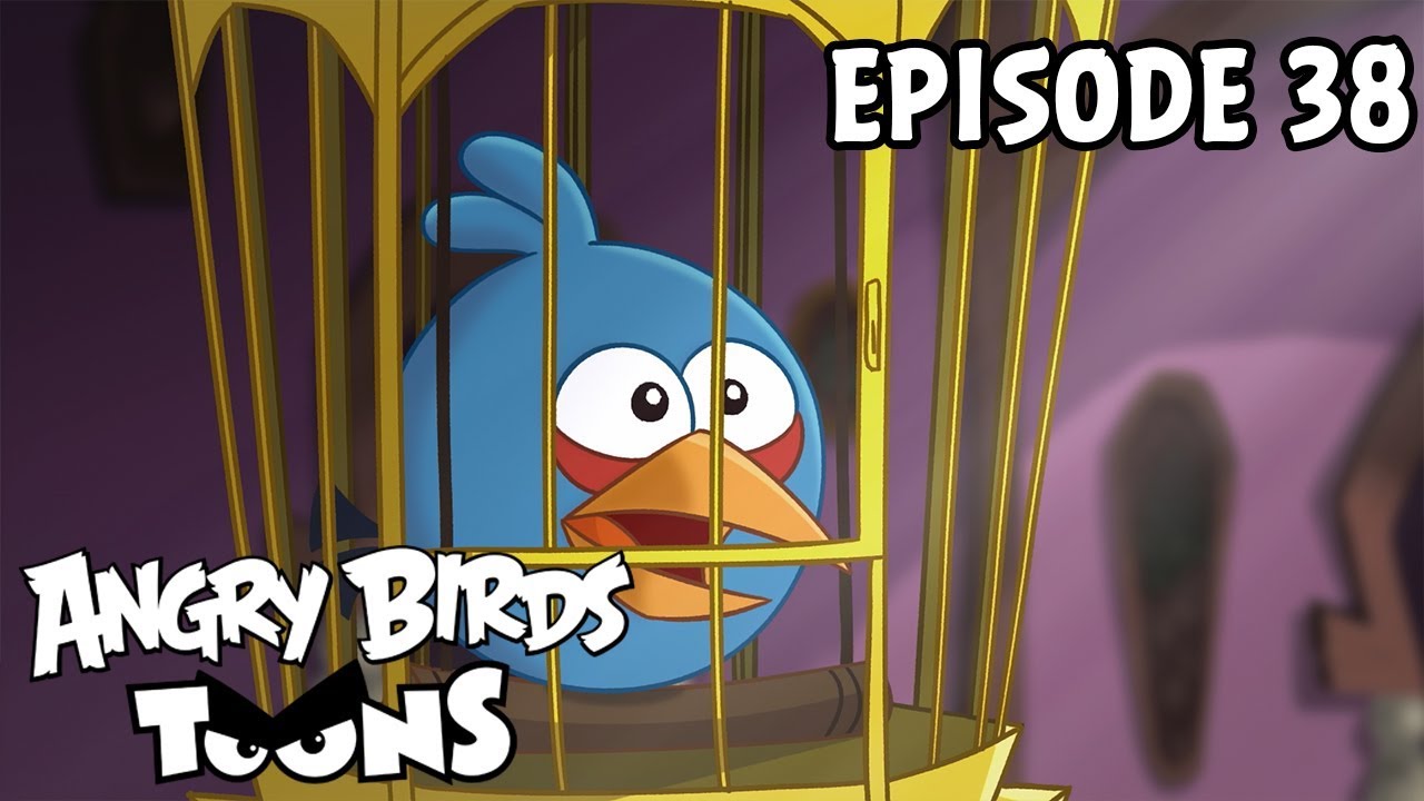 Angry Birds Toons | A Pig's Best Friend - S1 Ep38