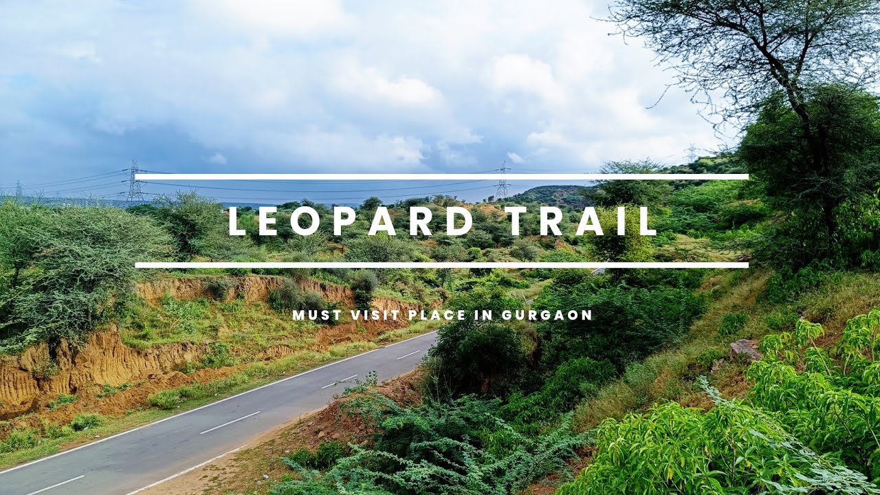 Leopard Trail Gurgaon | Must visit place nearby Delhi-NCR | Weekend getaway from Delhi, Aravali Hill