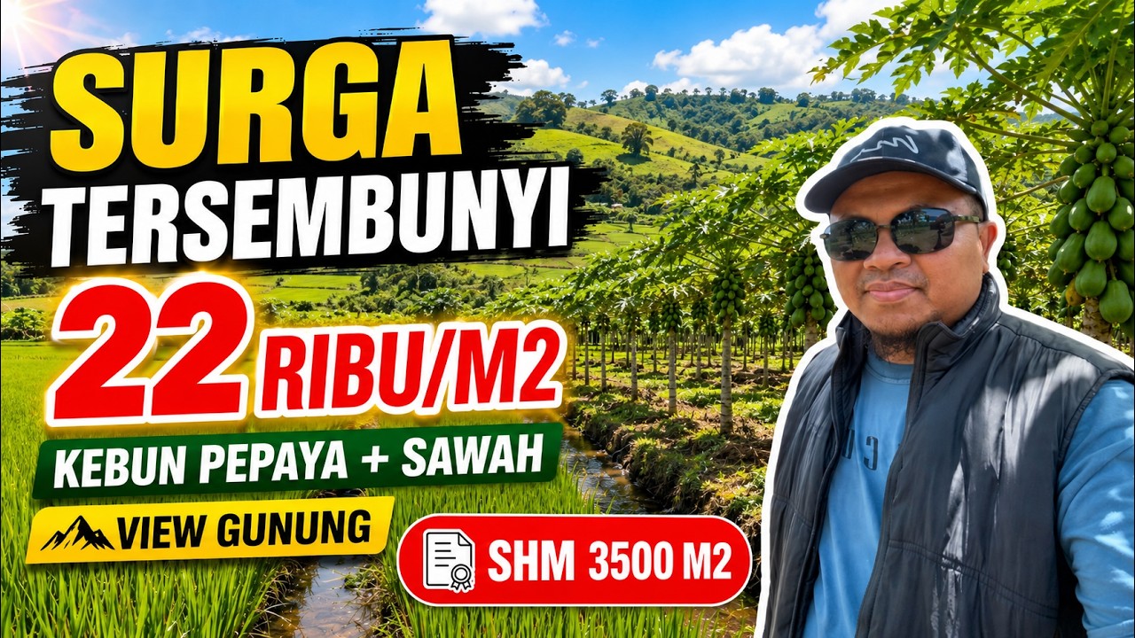 Surga Tersembunyi di Ciamis! Tanah Subur 3500 m² Cuma 30.000/m², View Gunung & Air Mengalir!