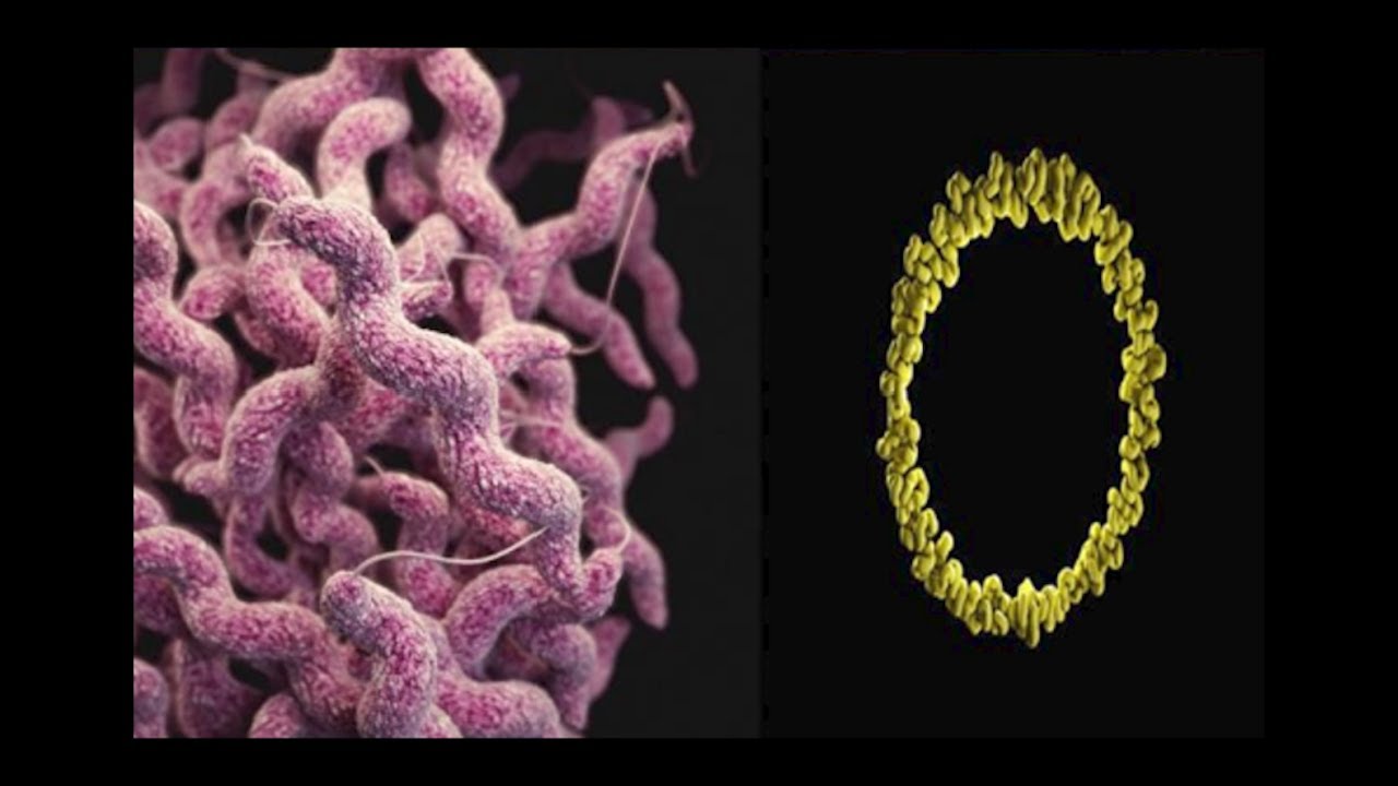 Why is food safety everyone's responsibility? | Agam Nangul | TEDxOmokoroa