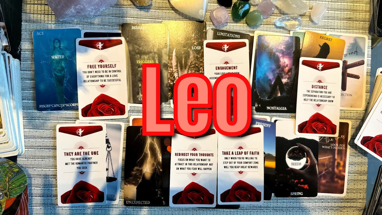 LEO♌️DESTINED EVENTS UNFOLDING⚡️NO ACCIDENTS HERE🔥EVERYTHING HAS A HIGHER PURPOSE🧿GUIDED PATH🐦‍🔥NOV