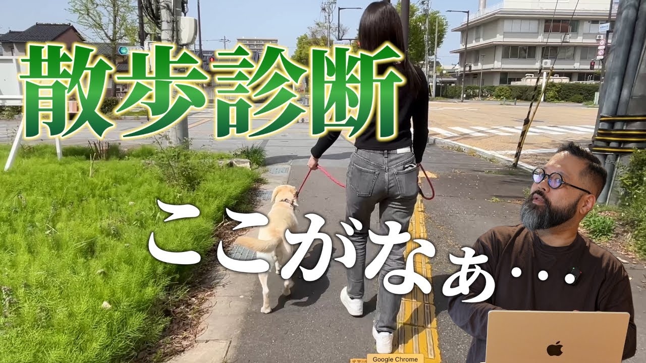 【犬の散歩】これを見ればあなたも散歩マスター！散歩動画を見てアドバイスしてみた