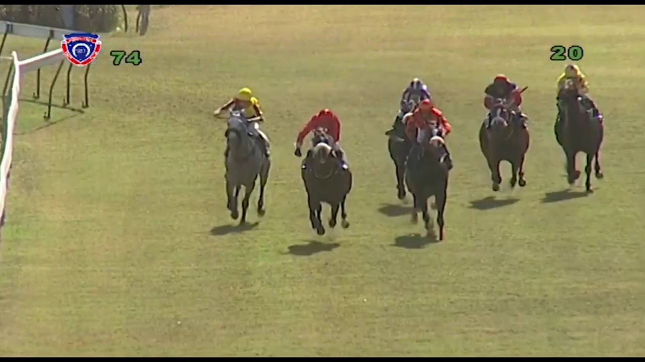 Mauritius Horse Racing 7th Meeting 2020
