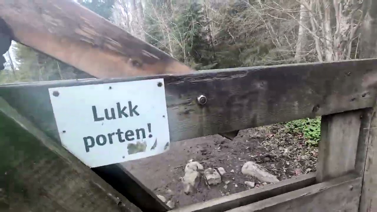 Running to Semsvannet: Norway&rsquo;s Most Peaceful Lakeside Route