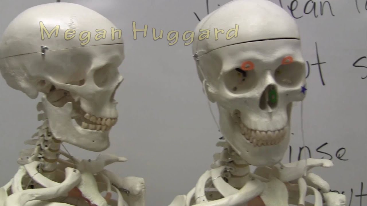 Swapped Short Film
