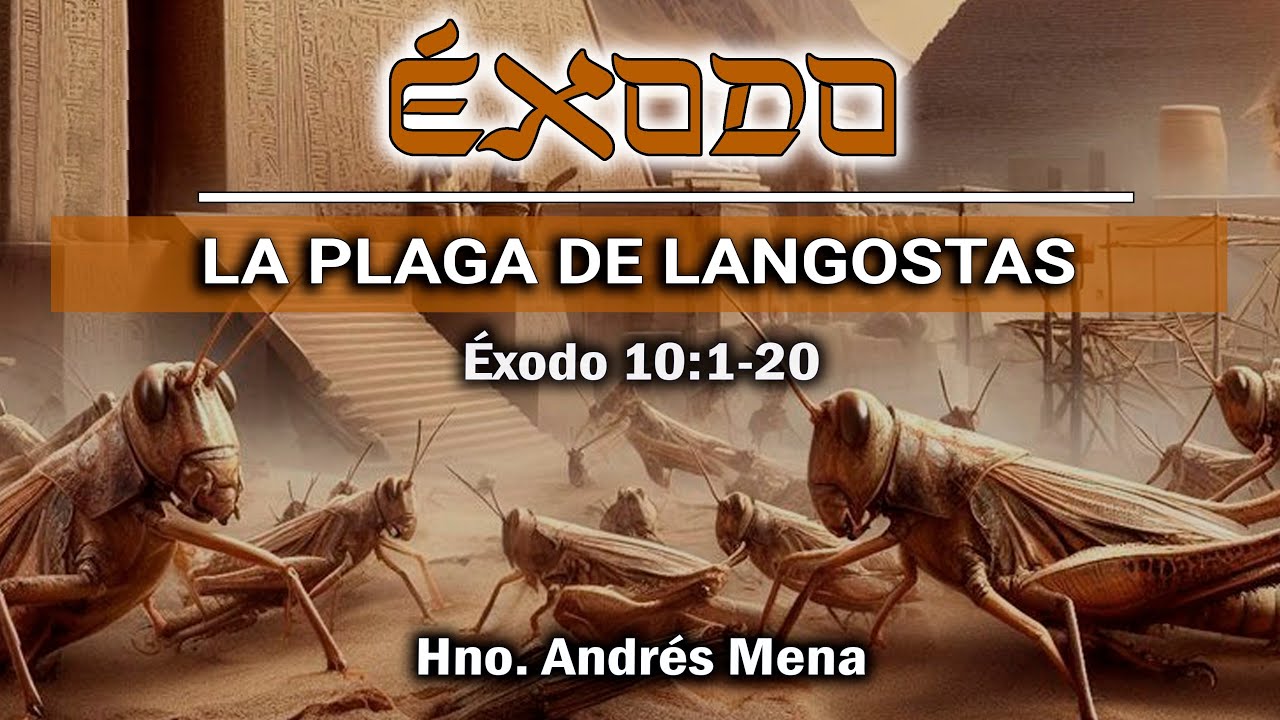 La plaga de langostas | Éxodo 10:1-20 | Hno. Andrés Mena