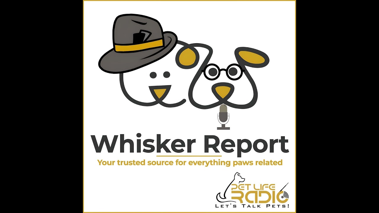 Whisker Report - Episode 38 Pitch Perfect: How to Get Pet Stories in the News