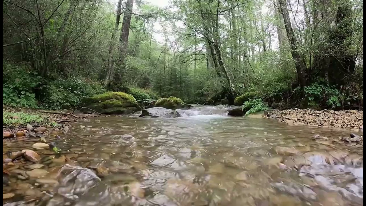 Relaxing River Sounds - for Sleep, Relaxation or Study