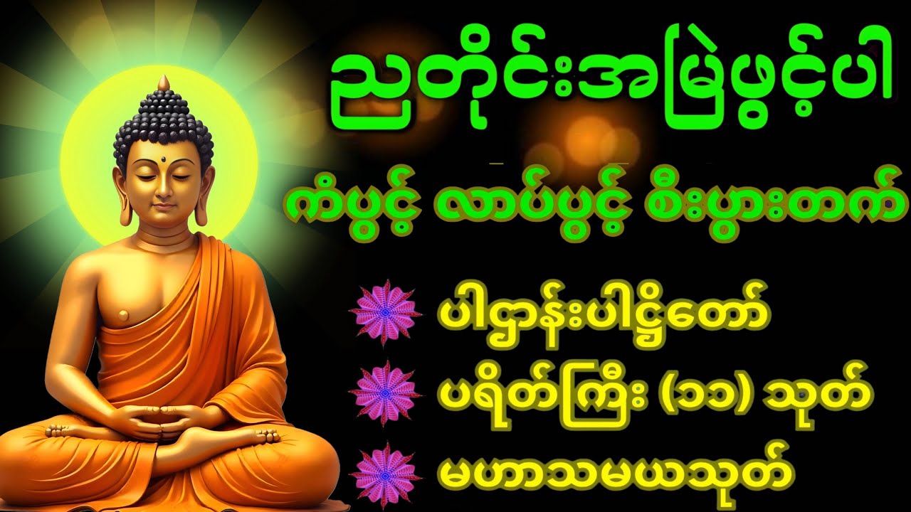 🌏🪷ညအိပ်ခါနီးတိုင်း ဖွင့်ထားပါ ပဌာန်းတရား ပရိတ်ကြီး၁၁သုတ် မေတ္တာပို့